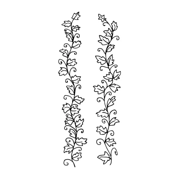 Klimop Takken Bloemen Decoratieve Ornament Voor Een Frame Rand Vector — Stockvector