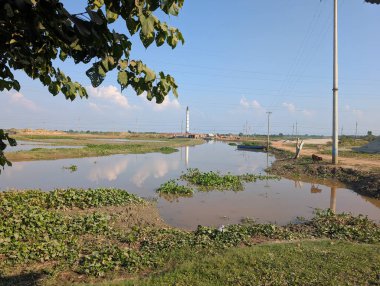 Kırsal bir bölgede, gün ışığında berrak mavi bir gökyüzü altında sakin bir nehir ve bitki örtüsü olan manzara.