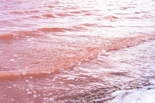 Textuur van water, roze meer. Golven sluiten. Een uniek, zout natuurverschijnsel. Sasyk Sivash de Krim — Stockfoto