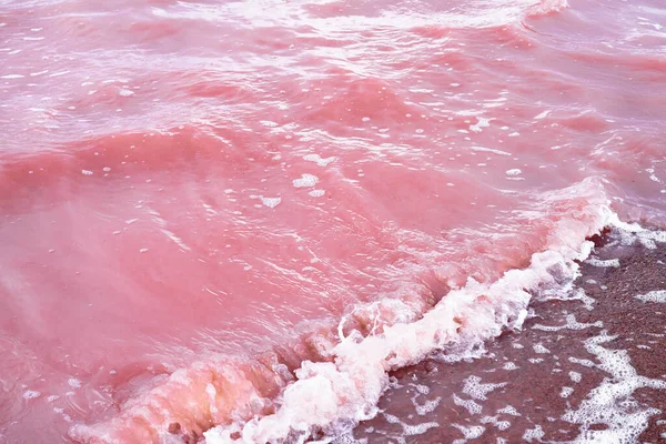 Dalgalar denizi kapatır. Eşsiz, tuzlu doğal bir fenomen. Su dokusu, pembe göl dalgası. Sasyk Sivash Kırım