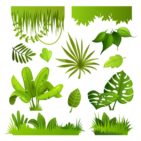 Conjunto de plantas de la selva — Vector de stock