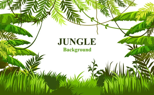 Summer background with jungle — Stock Vector