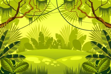jungle background. forest.