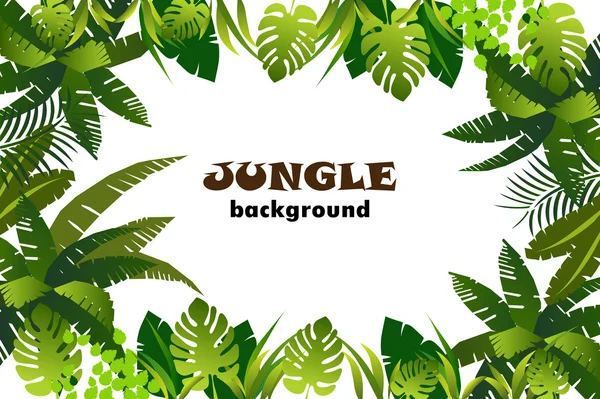 Jungle forest landscape — Stock Vector