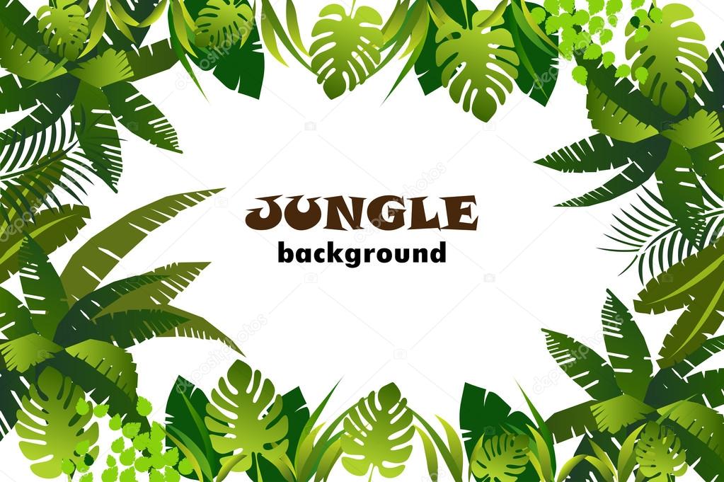 jungle forest landscape
