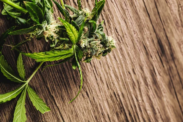 Makroaufnahme Einer Medizinischen Cannabis Knospe Mit Haaren Und Kristallen Und — Stockfoto
