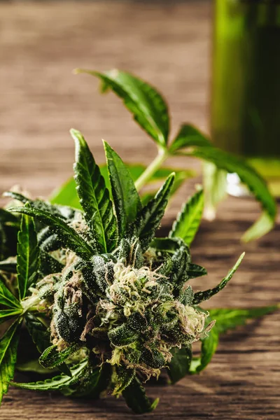 Medizinisches Cannabis Knospe Auf Hölzernem Hintergrund Hintergrund Verschwommener Glasflasche Mit — Stockfoto