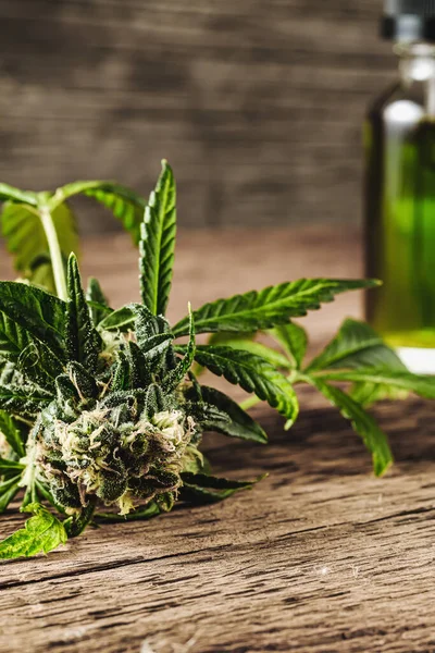 Glasflasche Mit Pflanzlichem Bio Medikament Cbd Konzentrat Tropfendosierung Einer Biologischen — Stockfoto