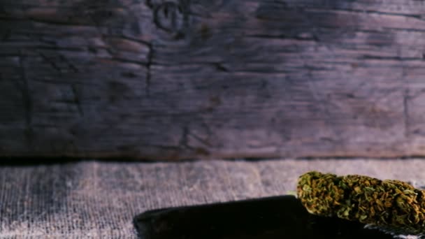 Hætteglas Med Dråbetæller Cannabis Koncentrat Cbd Står Ved Siden Tørrede – Stock-video
