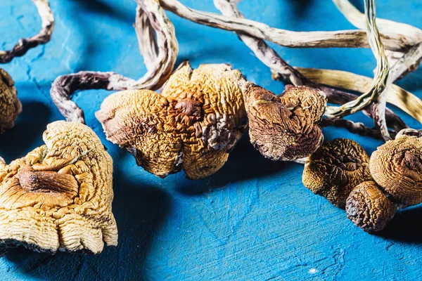 Gedroogde Mexicaanse Magische Paddenstoelen Een Psilocybe Cubensis Een Soort Psychedelische — Stockfoto