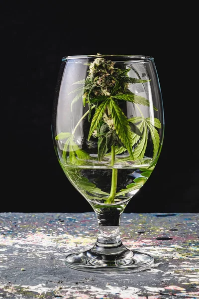 in the background in blur a bud of medical cannabis in a wine glass on a gray splashed paint background in dark. Vertical background
