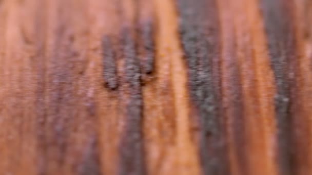 Oude roestige verweerde houten ondergrond met krassen en scheuren met patina. — Stockvideo