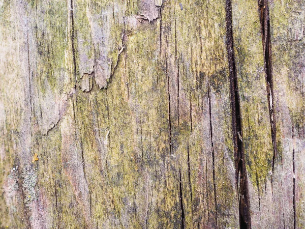 Old Rusty Weathered Wood Background Scratches Cracks Patina Horizontal Orientation — Stock Photo, Image