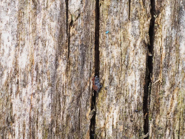 Old Rusty Weathered Wood Background Scratches Cracks Patina Horizontal Orientation — Stock Photo, Image