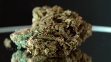 Siyah arka planda kusursuz döngü içinde çürüyen kuru tıbbi kenevir tomurcukları. Tam olarak bir tam dönüş. Depresyon için şifalı bitki. 4k