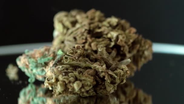 Mooie Droge Medicinale Cannabis Knop Rottend Naadloze Lus Donkere Achtergrond — Stockvideo
