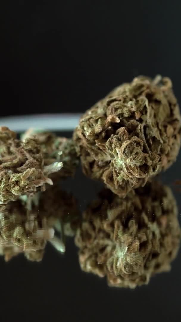 Mooie Droge Medicinale Cannabis Knop Rottend Naadloze Lus Donkere Achtergrond — Stockvideo