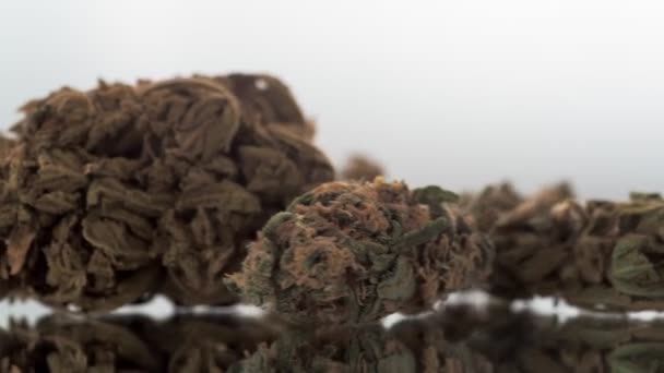 Schöne trockene medizinische Cannabis-Knospe, die in nahtloser Schleife auf weißem Hintergrund verrottet. Genau eine volle Rotation. Heilkraut gegen Depressionen. — Stockvideo