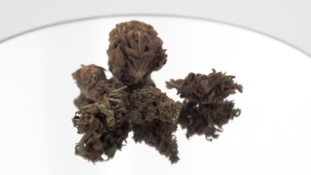 Schöne trockene medizinische Cannabis-Knospe, die in nahtloser Schleife auf weißem Hintergrund verrottet. Genau eine volle Rotation. Heilkraut gegen Depressionen. — Stockvideo