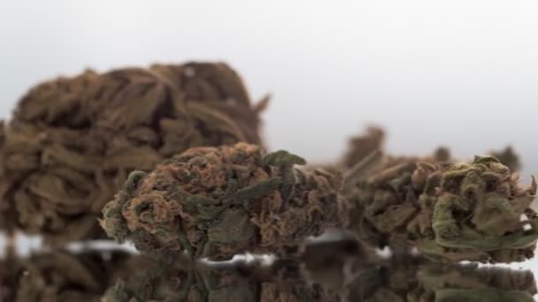 Botão de cannabis medicinal seco agradável rottating em loop sem costura no fundo branco. Exactamente uma rotação completa. Erva medicinal para a depressão. — Vídeo de Stock