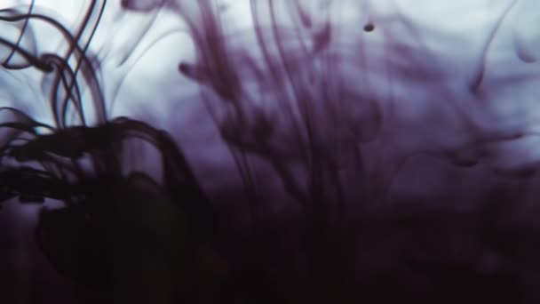 黑色涂料油墨滴在水中慢动作视频与复制空间 墨水云在水下旋转 — 图库视频影像