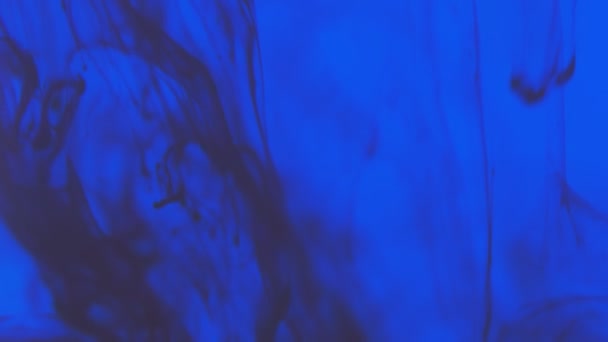Couleur Bleue Noire Gouttes Encre Peinture Dans Vidéo Eau Avec — Video
