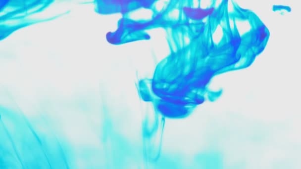 蓝色颜料油墨滴在带有复制空间的水视频中 墨水云在水下旋转 — 图库视频影像