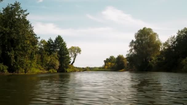 Rivier Zomer Reflectie Van Bomen Het Water Panorama Vanaf Het — Stockvideo