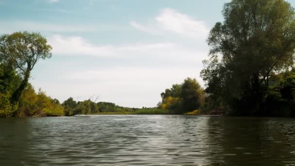 Flod Sommaren Återspegling Träd Vattnet Panorama Från Vattnet Sommarens Flodlandskap — Stockvideo