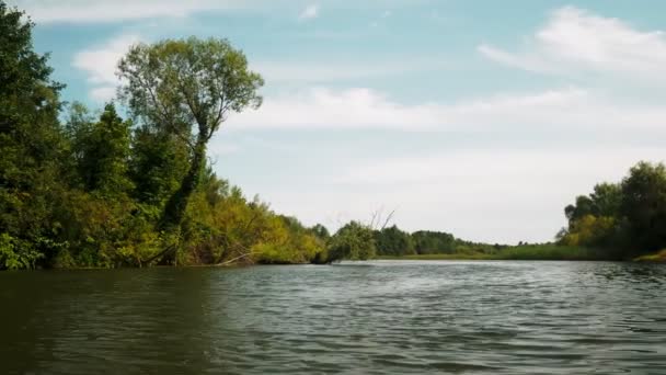 Rio Verão Reflexão Árvores Água Panorama Água Verão Paisagem Fluvial — Vídeo de Stock