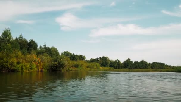 夏天的河流 水面上的树的倒影 水面上的全景 夏天的河流景观 — 图库视频影像