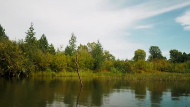 Yazın nehir. Sudaki ağaçların yansıması. Sudan gelen panorama. Yaz nehri manzarası. 4k