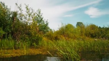 Yazın nehir. Sudaki ağaçların yansıması. Sudan gelen panorama. Yaz nehri manzarası. 4k