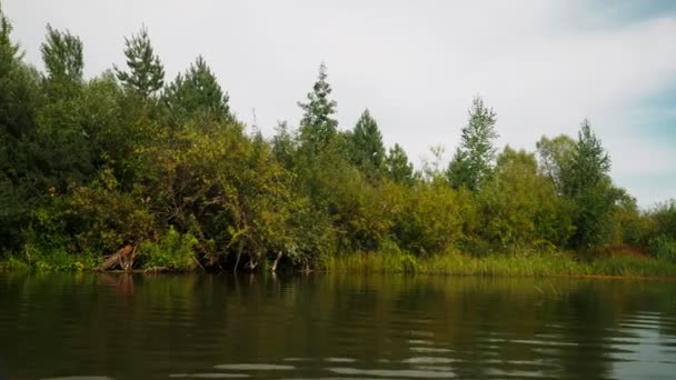 Rio Verão Reflexão Árvores Água Panorama Água Verão Paisagem Fluvial — Vídeo de Stock