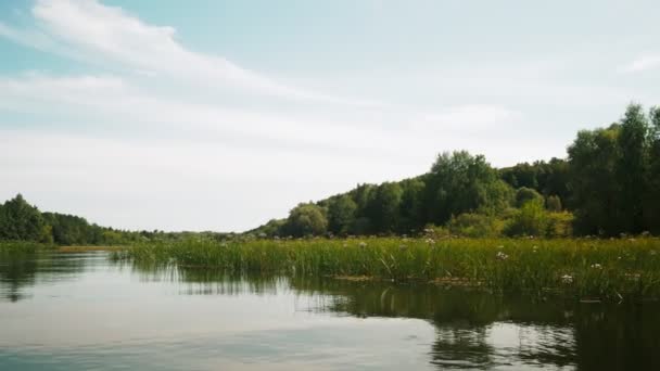 Fluss Sommer Reflexion Der Bäume Wasser Panorama Vom Wasser Aus — Stockvideo