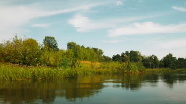 Fluss Sommer Reflexion Der Bäume Wasser Panorama Vom Wasser Aus — Stockvideo