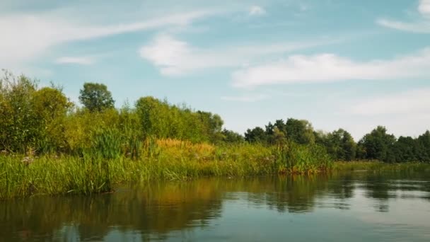 Река Летом Отражение Деревьев Воде Панорама Воды Летний Речной Пейзаж — стоковое видео