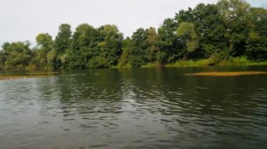 Yazın nehir. Sudaki ağaçların yansıması. Sudan gelen panorama. Yaz nehri manzarası. 4k