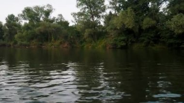 Yazın nehir. Sudaki ağaçların yansıması. Sudan gelen panorama. Yaz nehri manzarası. 4k