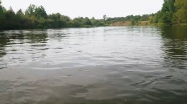 Yazın nehir. Sudaki ağaçların yansıması. Sudan gelen panorama. Yaz nehri manzarası. 4k