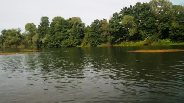 Sungai Musim Panas Pantulan Pohon Dalam Air Panorama Dari Air — Stok Video