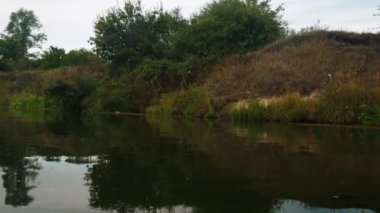 Yazın nehir. Sudaki ağaçların yansıması. Sudan gelen panorama. Yaz nehri manzarası. 4k