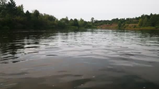 Fluss Sommer Reflexion Der Bäume Wasser Panorama Vom Wasser Aus — Stockvideo