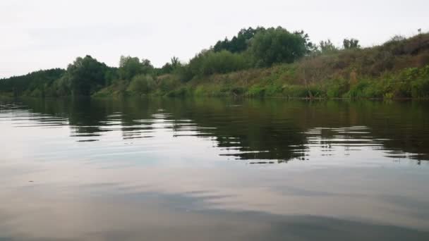 Река летом. отражение деревьев в воде. панорама из воды. летний речной пейзаж. — стоковое видео