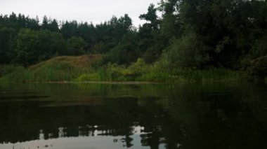 Yazın nehir. Sudaki ağaçların yansıması. Sudan gelen panorama. Yaz nehri manzarası.