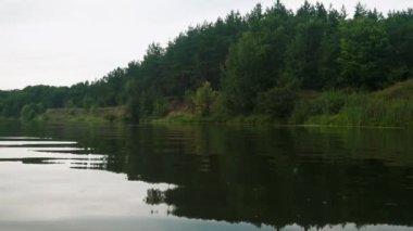 Yazın nehir. Sudaki ağaçların yansıması. Sudan gelen panorama. Yaz nehri manzarası.