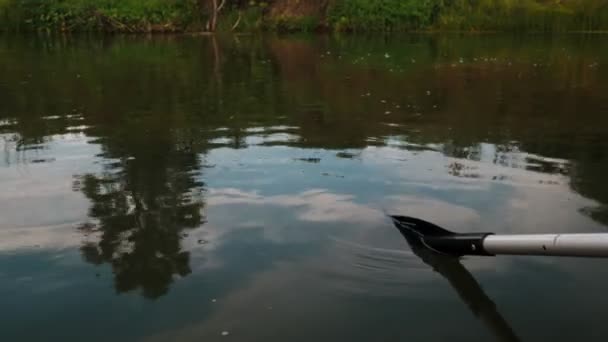 V létě řeka. vesluji s výhledem z lodi. odraz stromů ve vodě. panorama z vody. letní říční krajina. — Stock video