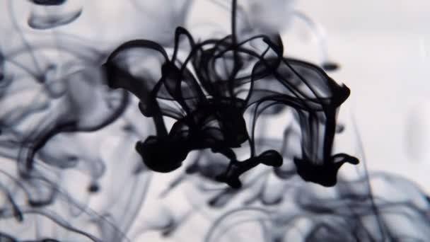 Black Color Paint Ink Drops Water Slow Motion Video Copy — Stock Video