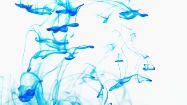 Blue Color Paint Ink Drops Water Slow Motion Video Copy — Stock Video