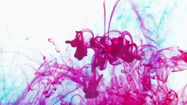 Mavi ve kırmızı renkli mürekkep, suda yavaş çekimde fotokopi alanı ile birlikte düşer. Su altında dönen mürekkepli bulut. 4k